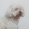 Scott welcome Ernestine CNSEWE - @thto.bebe.da.mae - TikTok