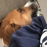 Scott Wellinger - @scott_wellinger - Instagram