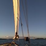 Diana Scott Welton - @weltondiana - Instagram