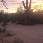 Scott Welton - @scott_waz1 - Instagram