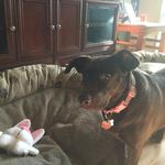 Gina Scott Wendorf - @gina_wendorf - Instagram