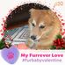 Gina Scott Wendorf - Facebook