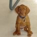 Scott Werle - Facebook
