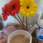 Werner - @werner_scott_micheal - Instagram