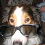 Scott Wharton - @swharton3 - Instagram