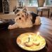 Scott White - Facebook