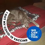 Scott Whitehouse - @whitehouse4147 - Instagram