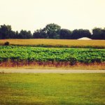 Scott Whitt - @scott.whitt - Instagram