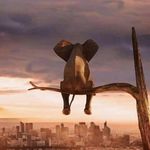 Scott Whittington - @scott.whittington.7 - Instagram