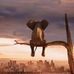 Scott Whittington - Facebook