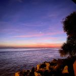 Scott Whittington - @scott.whittington.79 - Instagram
