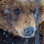Scott Wichman - @scott.wichman.3 - Instagram