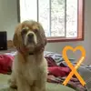 scottwichmann0 - @scottwichmann0 - TikTok