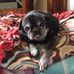 Scott Wicklund - Facebook