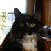Scott Widener - Facebook