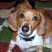 Bruce Scott Widmann - Facebook