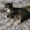 carriewidmerscott - @carriewidmerscott - TikTok