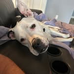 Scott J. Wiersma - @scott.j.wiersma - Instagram