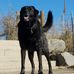 Scott Wiersema - Facebook