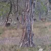 scottwigington831 - @scottwigington831 - TikTok
