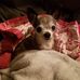 Scott Wikert - Facebook