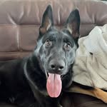 Scott Wilberger - @scottwilberger - Instagram