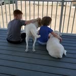 Scott Wiles - @scott.wiles.9 - Instagram