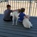 Scott Wiles - Facebook