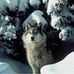 Scott Wiley - Facebook