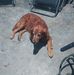 Scott Wilt - Facebook