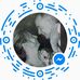 Scott Wilt - Facebook