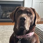 Scott Wimmer - @scottwimm - Instagram