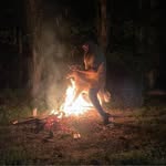 Brandon Scott Windell - @brandonwindell - Instagram