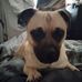 Scott Winfield - Facebook