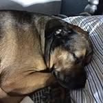 Scott Winfrey - @scalwioki3 - Instagram