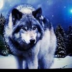 Scott Winget - @scott.winget.14 - Instagram