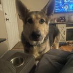 Scott Winningham - @scottdub9889 - Instagram