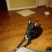 Scott Wisner - Facebook