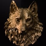 Scott Wolfman - @scottwolfman - Instagram
