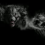 Wolfman Scott - Facebook