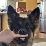 Scott Woodhead - @pinky560 - Instagram