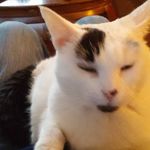Scott Woolery - @scottwoolery - Instagram