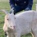 Scott Worcester - Facebook
