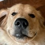 Scott Worth - @baanrlm - Instagram