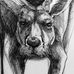 Scott Worthy - Facebook