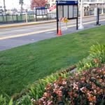 Scott Wuethrich - @farmwithipad - Instagram
