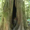 nancywunderlichscott - @nancywunderlichscott - TikTok