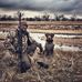 Scott Yanke - Facebook