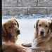 Scott Yocum - Facebook