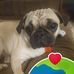 Scott Yon - Facebook